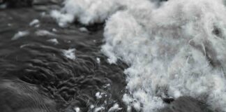 ALLIED Adds Carbon Data to TrackMyDown